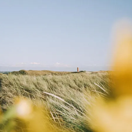 New! De Duinhaven Direct Aan De Duinen *