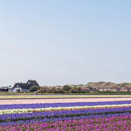 New! De Duinhaven Direct Aan De Duinen Callantsoog